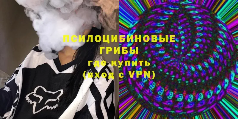 Галлюциногенные грибы MAGIC MUSHROOMS Бородино